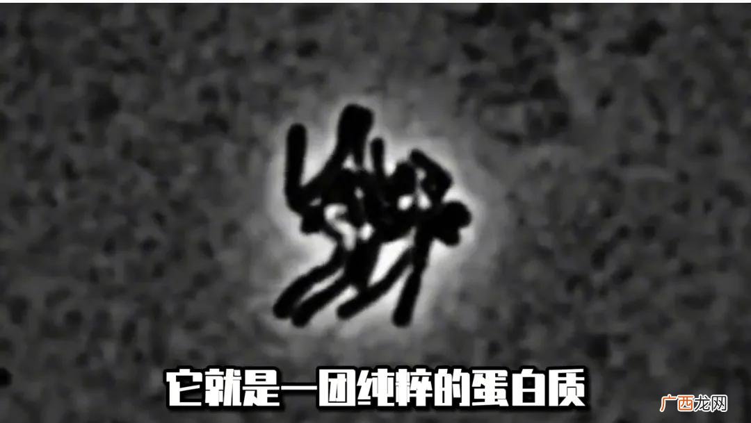 hpv是怎么感染上的 朊病毒是怎么产生的