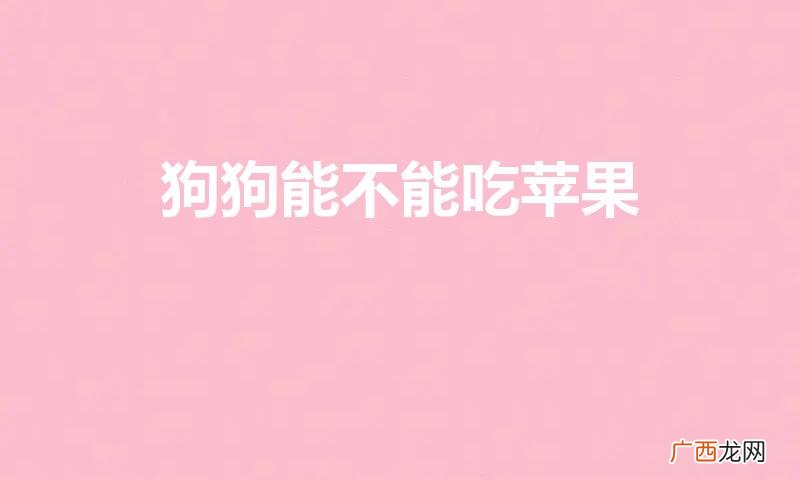 狗狗可以吃苹果吗 狗狗能不能吃苹果