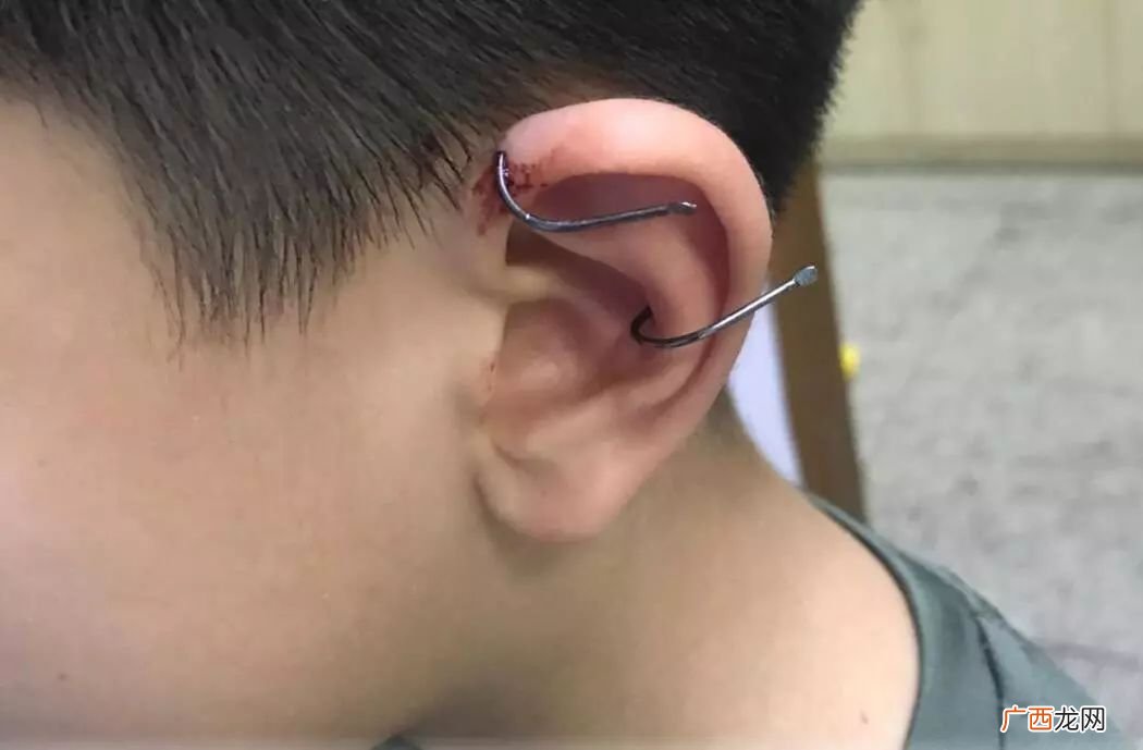 伊势尼和伊豆鱼钩有什么不同 伊势尼和伊豆的区别