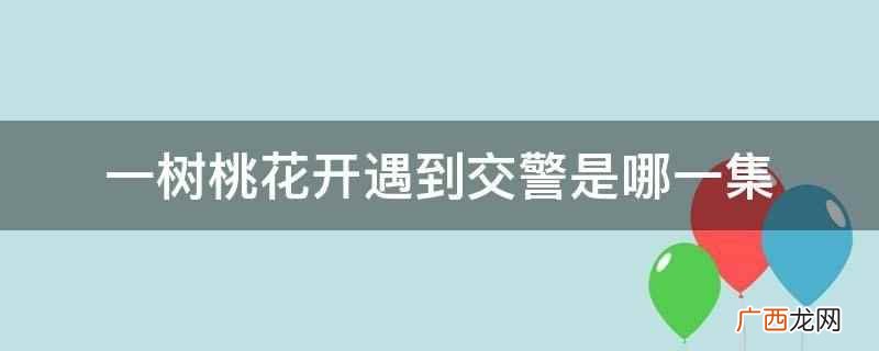 一树桃花开车祸死掉的人是个小偷 一树桃花开遇到交警是哪一集