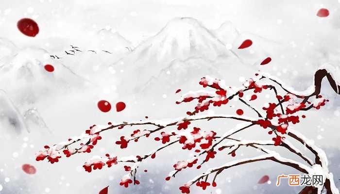 沁园春雪全诗原文朗诵 沁园春雪全诗原文