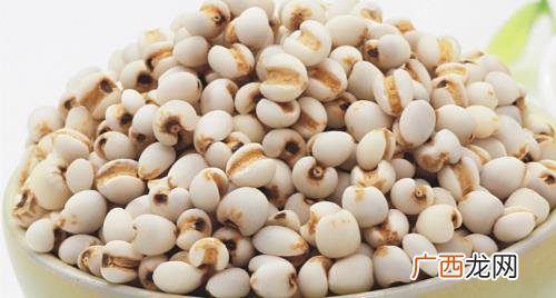 大薏米和小薏米有什么区别 薏米怎么煮烂最快