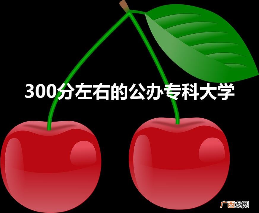 三百分左右的专科院校有哪些 300分左右的公办专科大学