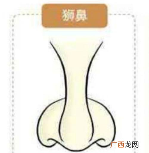 是否一生富贵全看鼻子 鼻子看相:五种富贵鼻类型