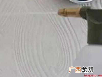 墙上发霉出现很多小虫子怎么除去