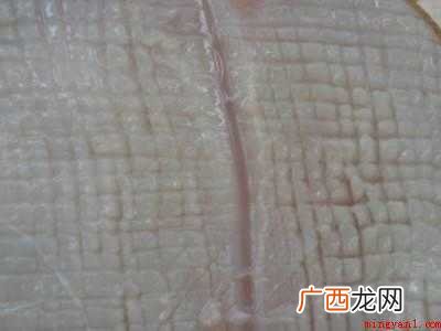 大鱿鱼怎么处理怎么做的具体操作步骤 大鱿鱼怎么处理怎么做