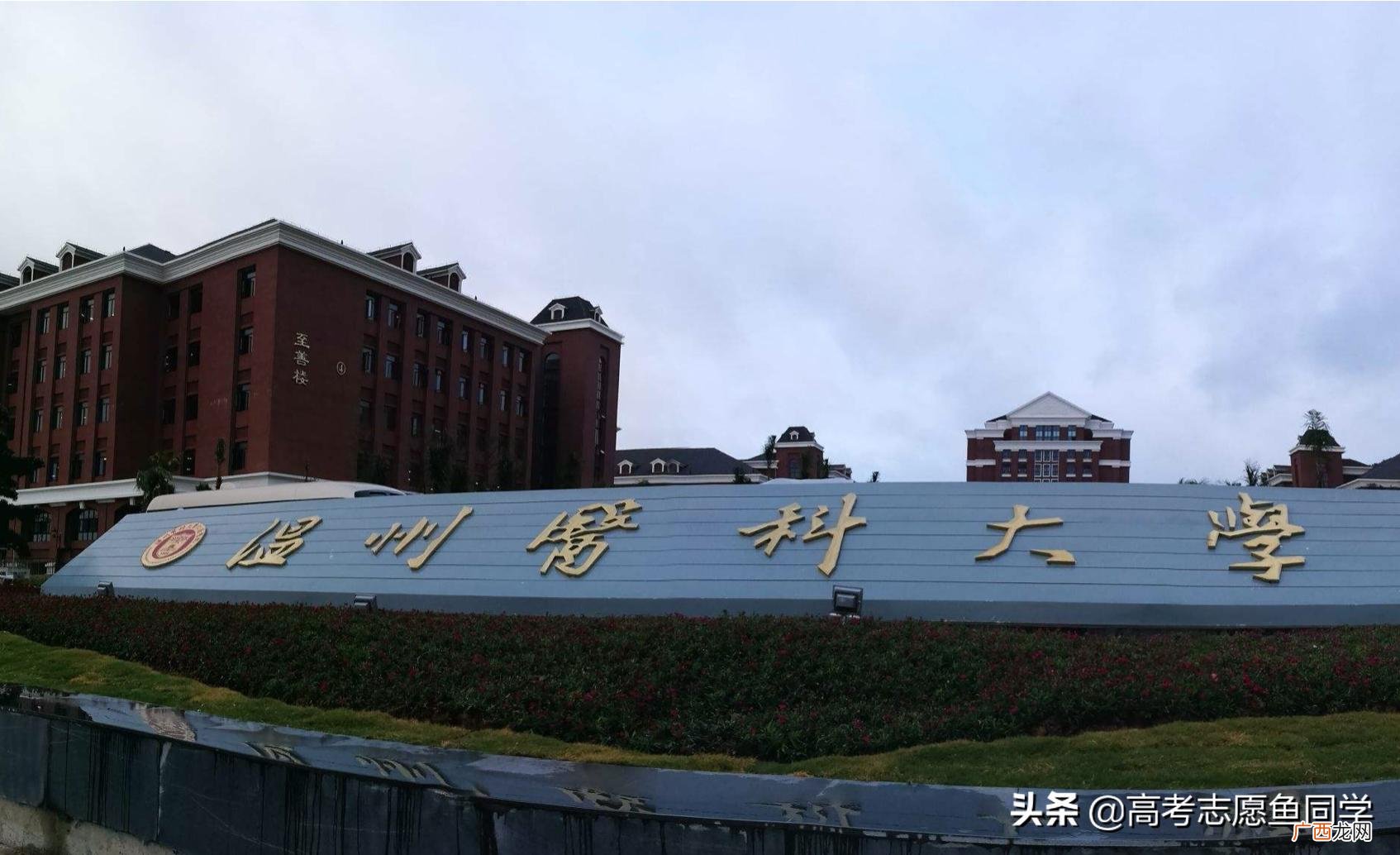 二本分数能上的医科大学 二本医学院校有哪些大学排名