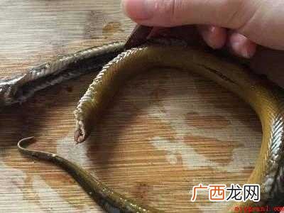 长鱼丝怎么划开的具体操作步骤 长鱼丝怎么划开