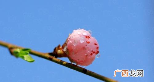 2022春天什么时候回温 2022春天什么时候开始暖和