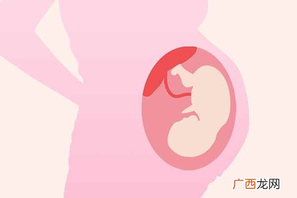 龙眼和桂圆是一种水果吗