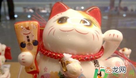 招财猫举左手表示招财还是招福呢 招财猫举左手表示招财还是招福