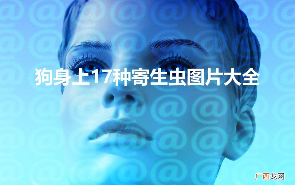 狗狗身上虫子种类图片大全 狗身上17种寄生虫图片大全