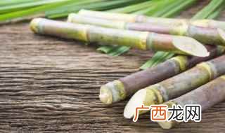 秋季种植需要注意什么 甘蔗什么时候种