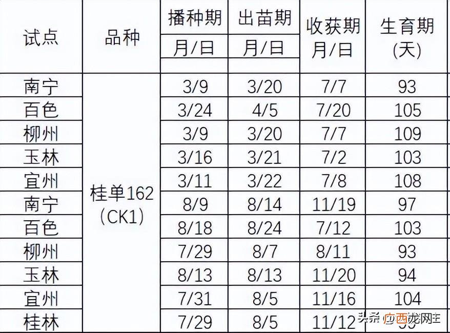 一年两茬玉米种植技术 一年种两季玉米时间怎么安排