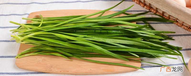 韭菜的寓意和象征风水 过年吃韭菜的寓意