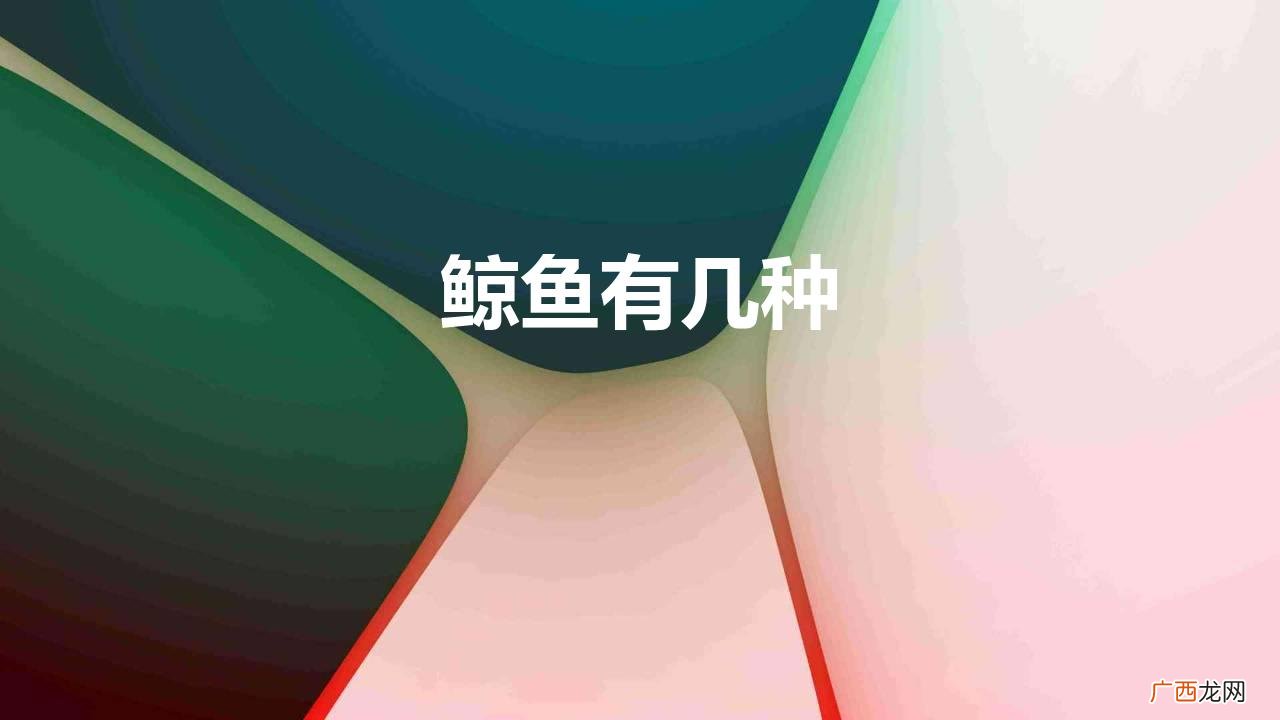 鲸鱼的种类名称大全 鲸鱼有几种