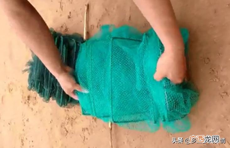 地笼网的三步正确使用方法 地笼怎么下才是正确的