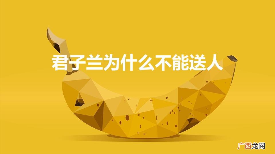 为什么有人说君子兰不能随便送人 君子兰为什么不能送人