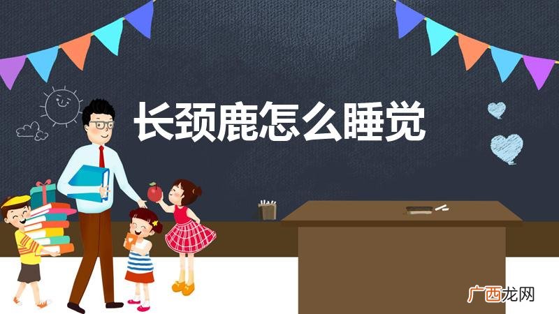 长颈鹿怎么睡觉啊 长颈鹿怎么睡觉