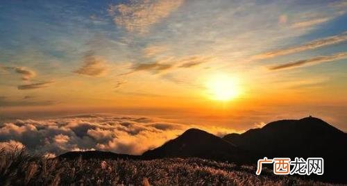 2022年的虎属于金木水火土的什么 2022年是金木水火土中的什么年