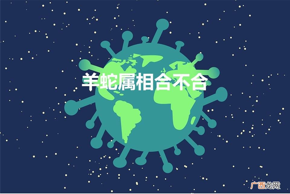 羊蛇属相合不合事业 羊蛇属相合不合