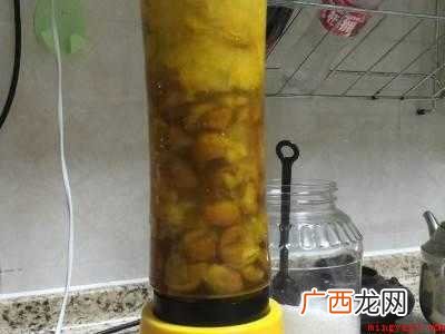 黄皮果汁怎么榨好喝的具体操作步骤 黄皮果汁怎么榨好喝