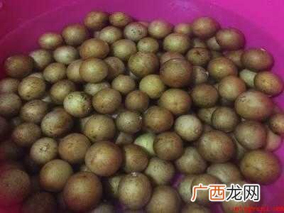 黄皮果汁怎么榨好喝的具体操作步骤 黄皮果汁怎么榨好喝