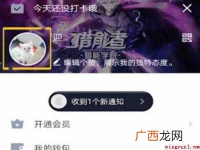 演示机型:Iphone 12 qq怎么关闭资料卡背景