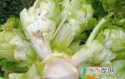 儿菜皮子可以吃吗 儿菜的皮怎么去除