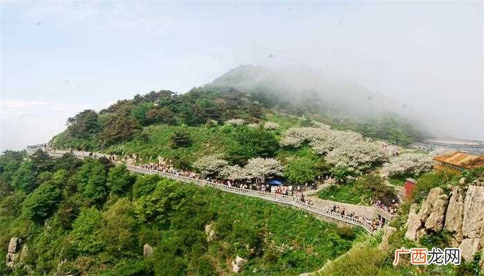 挑山工是怎样登山的 挑山工爬的是哪座山