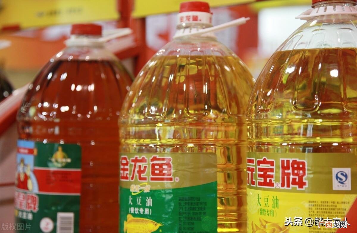 鲁花低芥酸菜籽油多少钱一桶 菜籽油与花生油哪个更健康