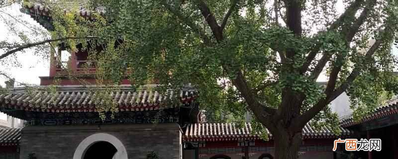 东四到潞城需要一个小时左右的时间 东四到潞城多长时间
