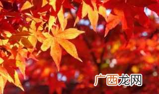 2019年12月14日星座运势 秋分的古诗五字诗句