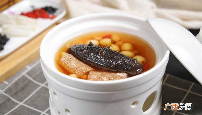 海肠是什么生物 海肠是什么