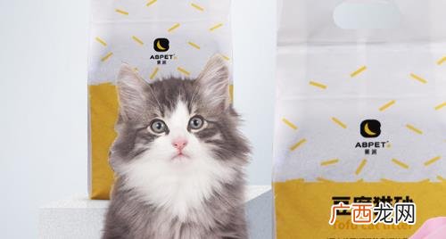 猫砂用多久会滋生细菌猫砂一般多久更换一次 猫砂要不要定期更换