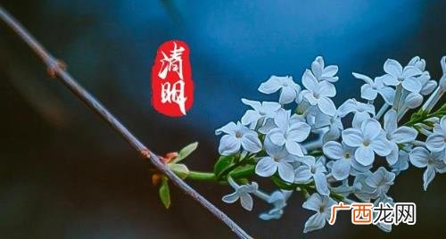 2023年清明节是几点几分 2023年清明节是几月几号星期几