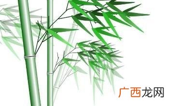 10种招鬼的花 竹子是辟邪还是招鬼