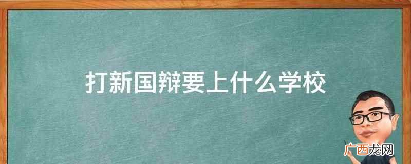 打新国辩要上北京大学、中山大学等 打新国辩要上什么学校