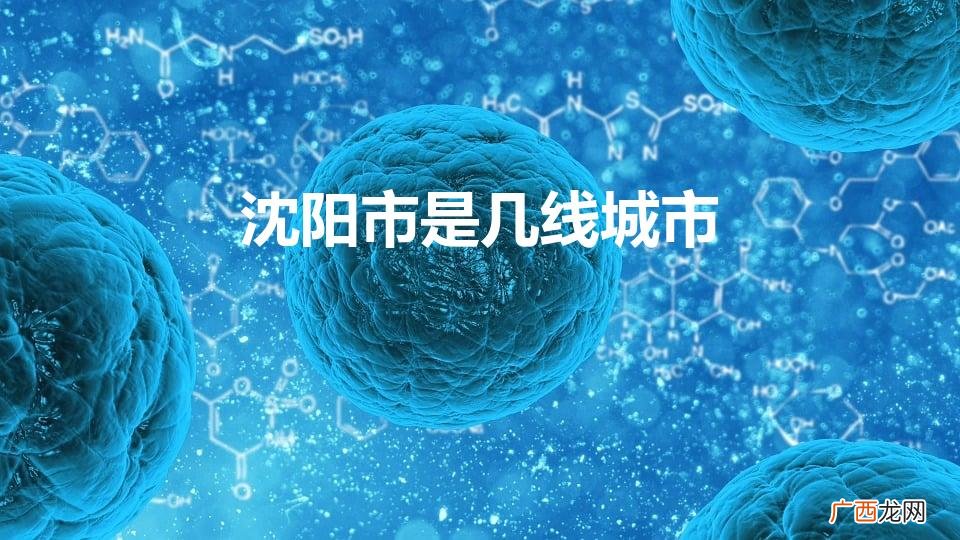 属于一线还是二线城市 沈阳市是几线城市