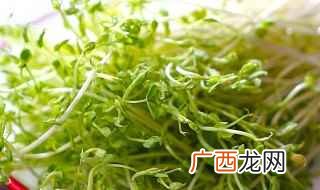 荷兰豆苗怎么做好吃 这样做既营养又美味