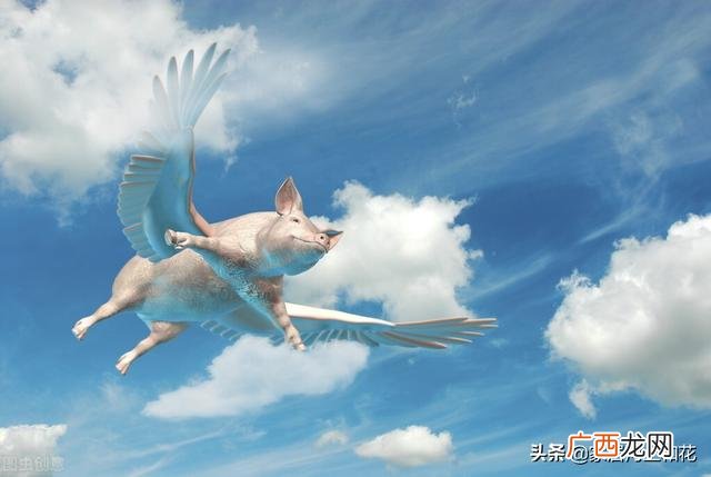 回收二手移动机顶盒有什么用 为什么都去农村收机顶盒