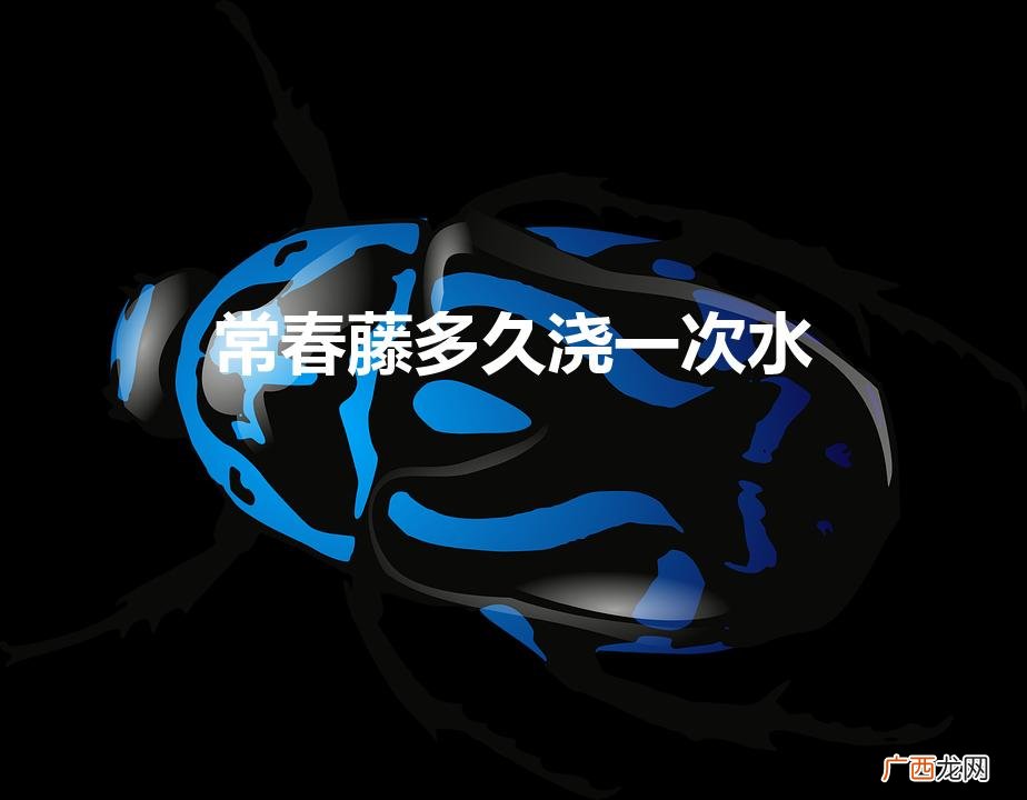 常春藤多久浇一次水（常春藤要多浇水吗)