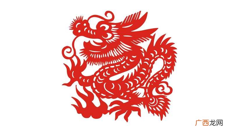 12年属什么生肖 12年属什么