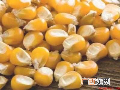 嫩玉米粒怎么保存的具体操作步骤 嫩玉米粒怎么保存