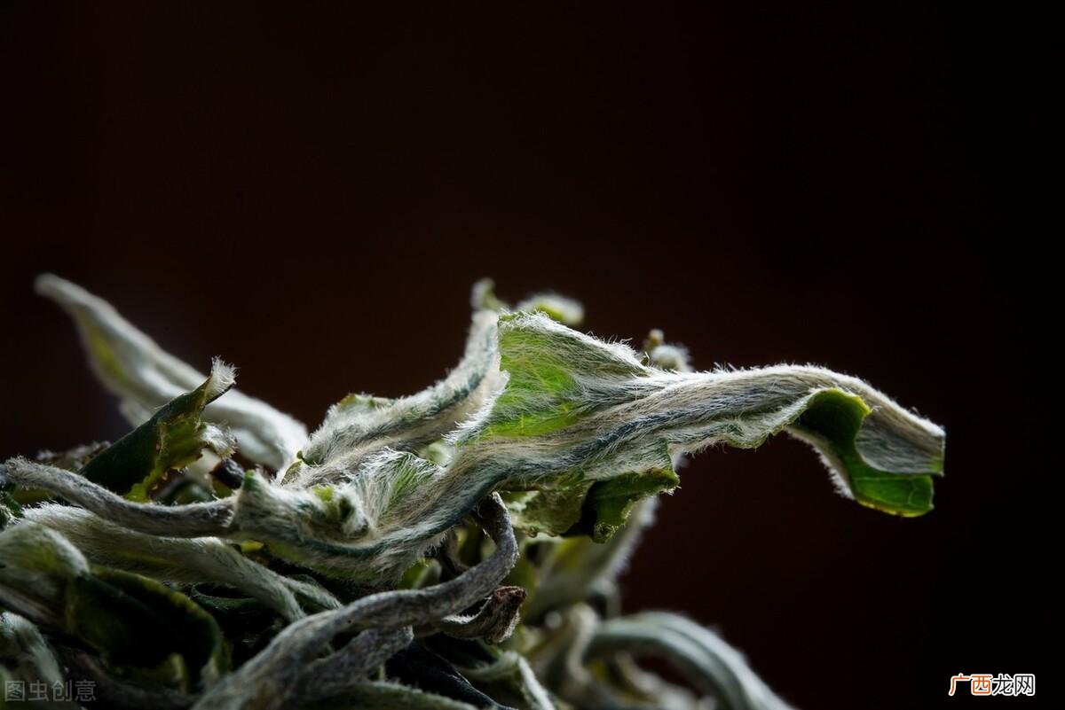 袪火效果好的差种类推荐 什么茶去火效果最好喝