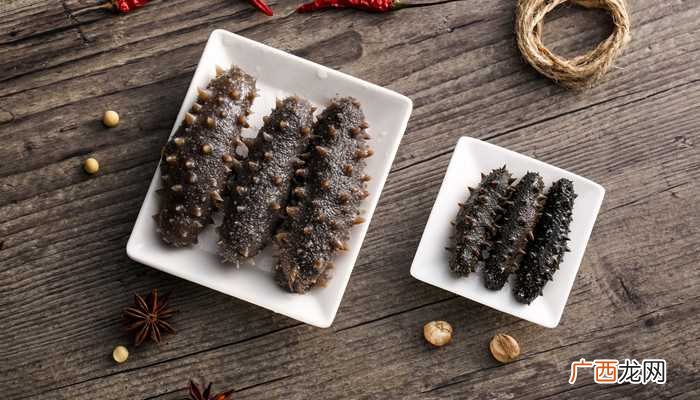 新鲜海参的做法大全家常 新鲜海参的做法