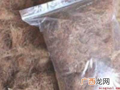 玉米须怎么晒干保存的具体操作步骤 玉米须怎么晒干保存