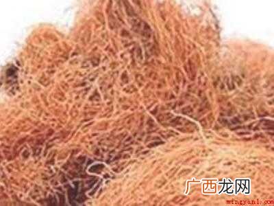 玉米须怎么晒干保存的具体操作步骤 玉米须怎么晒干保存