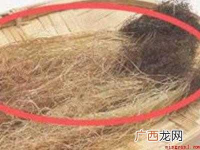 玉米须怎么晒干保存的具体操作步骤 玉米须怎么晒干保存