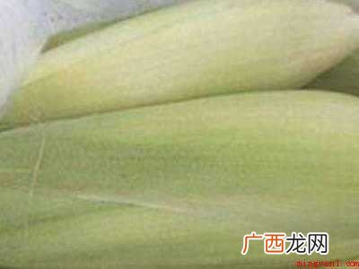 玉米须怎么晒干保存的具体操作步骤 玉米须怎么晒干保存